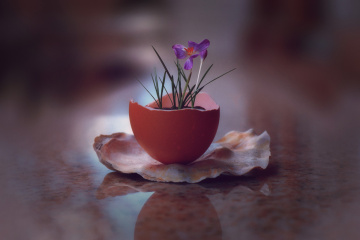 Spring is coming