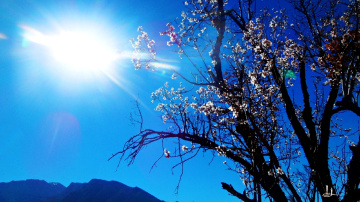 ''Wake up,it's SPRING!''