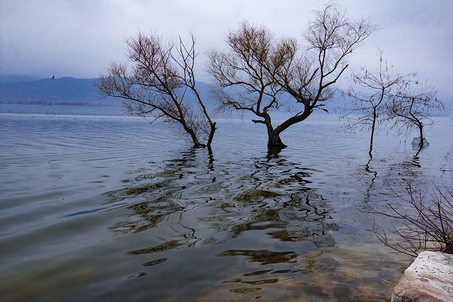 Gölyazı