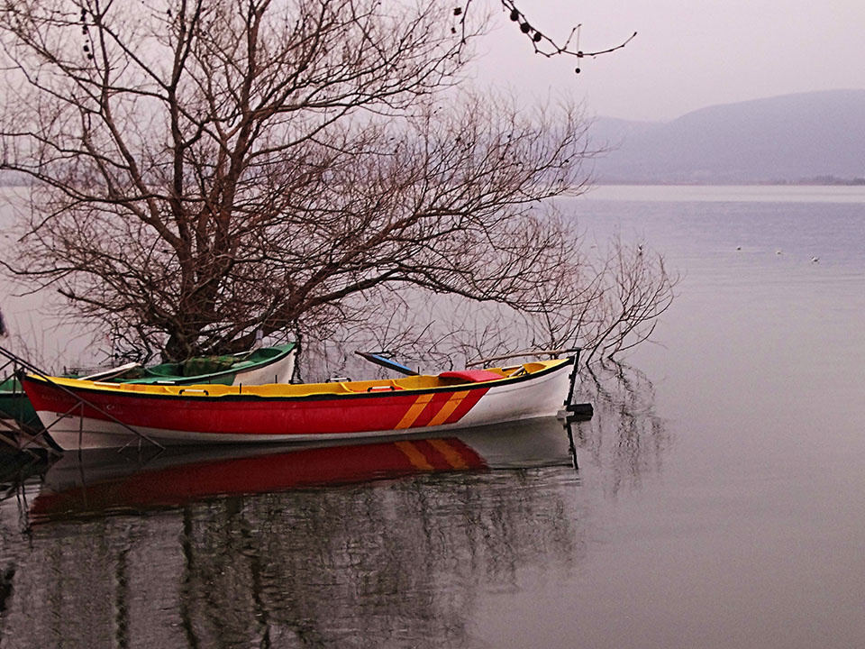 Gölyazı'dan
