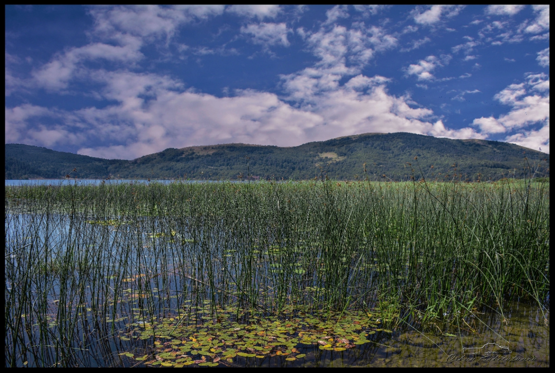 Lake Abant Nature Park