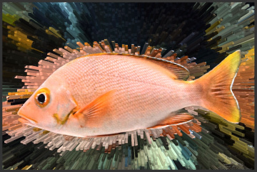 Underwater colors