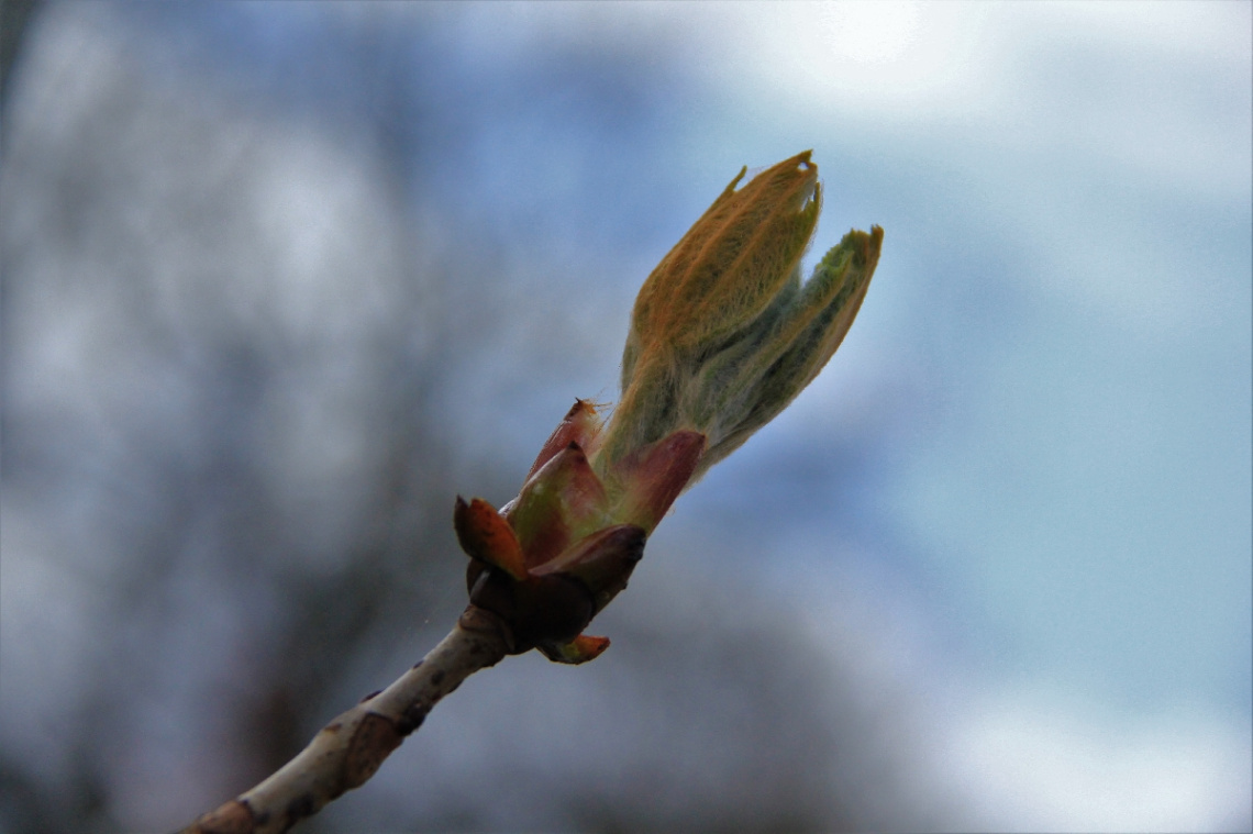 Spring is here