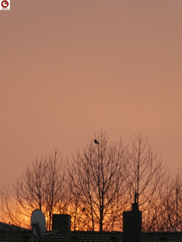 Sonnenaufgang