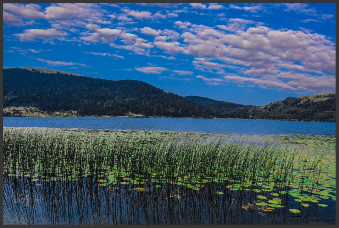 The lake