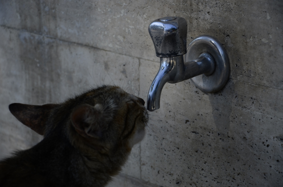 BİR YUDUM SUDUR YAŞAMAK...