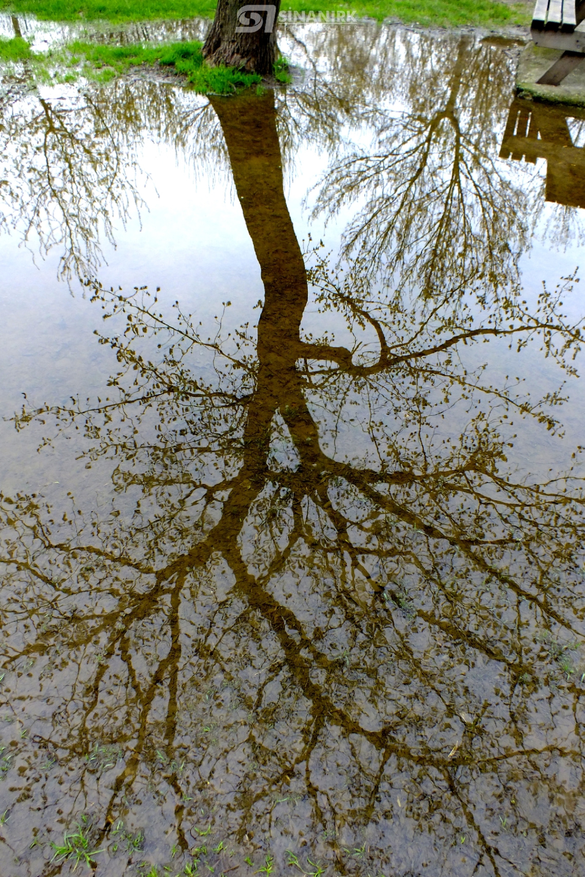 DOĞA