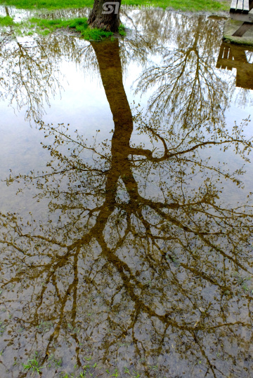 DOĞA