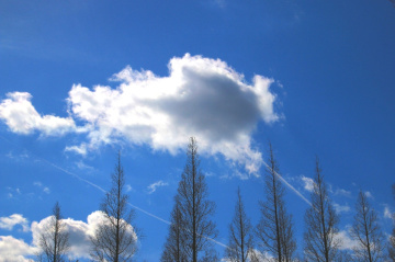 clouds