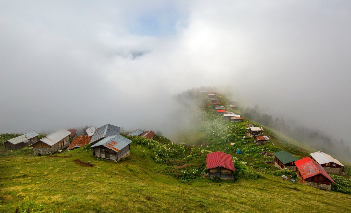 Pokut Yaylası/Ç.HEMŞİN.