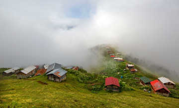 Pokut Yaylası/Ç.HEMŞİN.