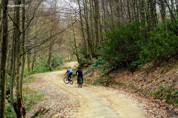 DOĞA İLE