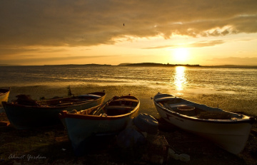 Gölyazı