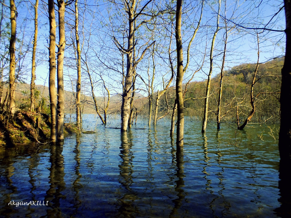 DOĞA İLE