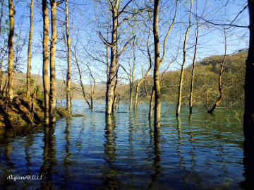 DOĞA İLE