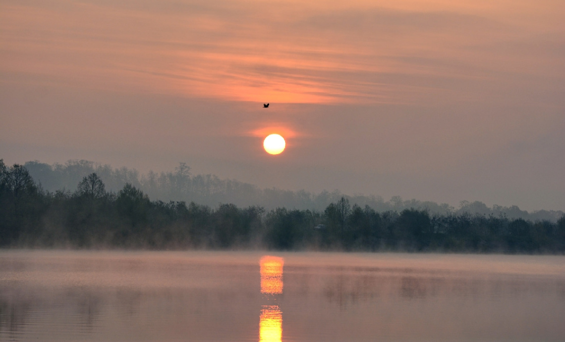 ... morning fog