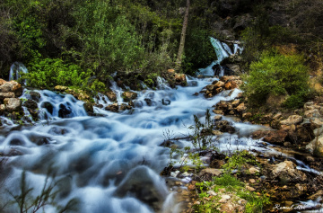 Su Akar yolunu Bulur