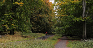 Dyrehaven