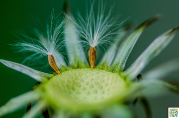 Toprağa, suya,Yaşama...!