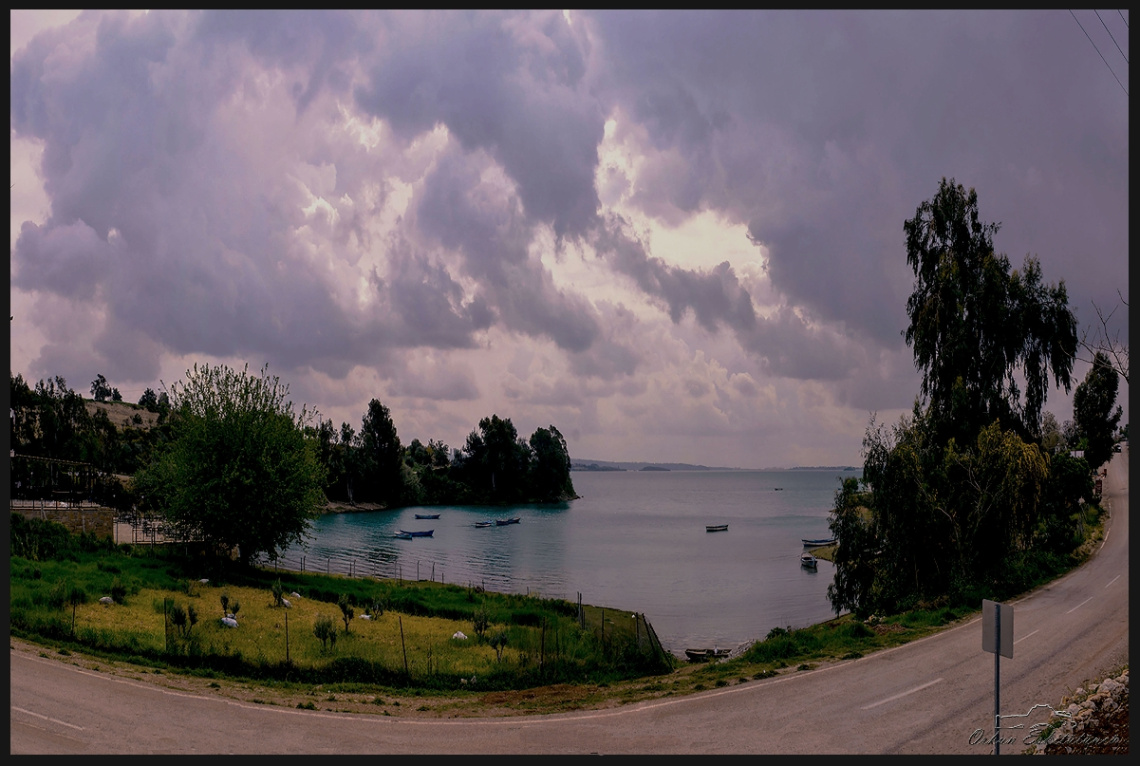 The lake