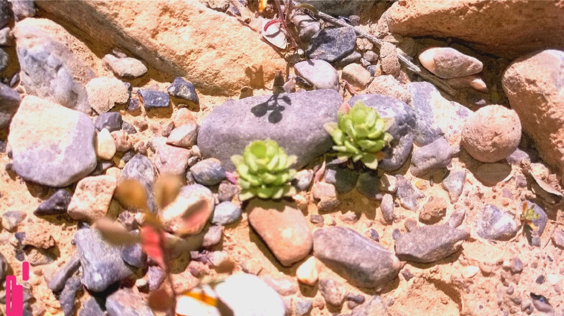 Spring unbound....