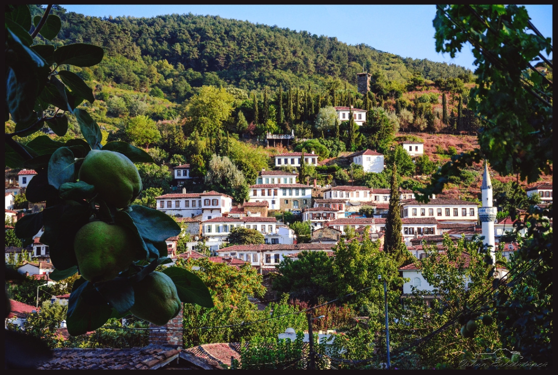 A view of Şirince