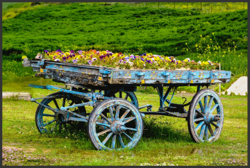 Spring car
