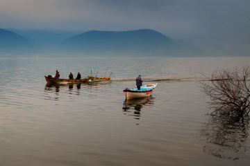 Gölyazı