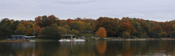 Colorful autumn