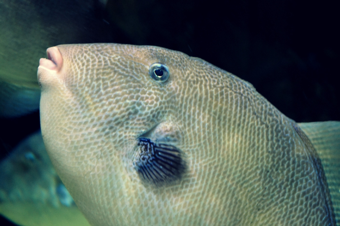 kiss me :)