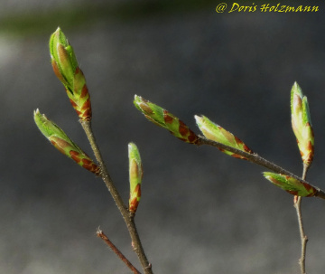 Zusammengehörigkeit