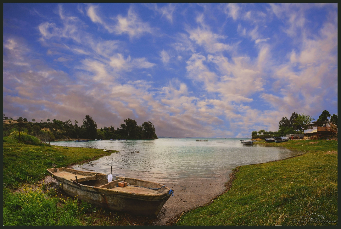The lake