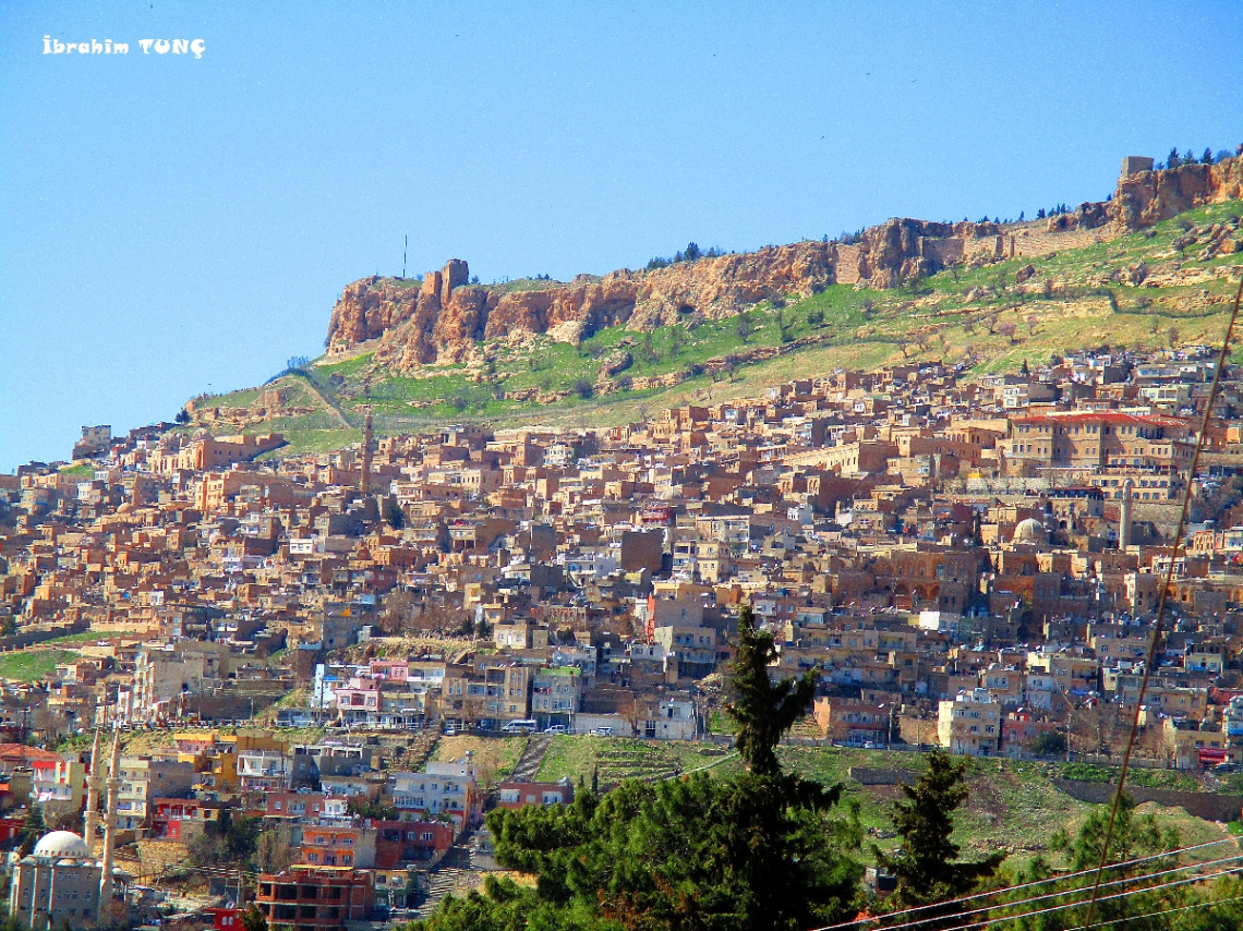 Mardin