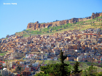 Mardin