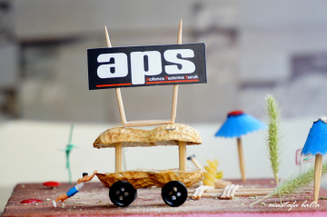 Miniciks Hayatlar  APS  