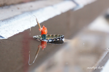 Miniciks Hayatlar  BELYAZININ BALIKÇISI 