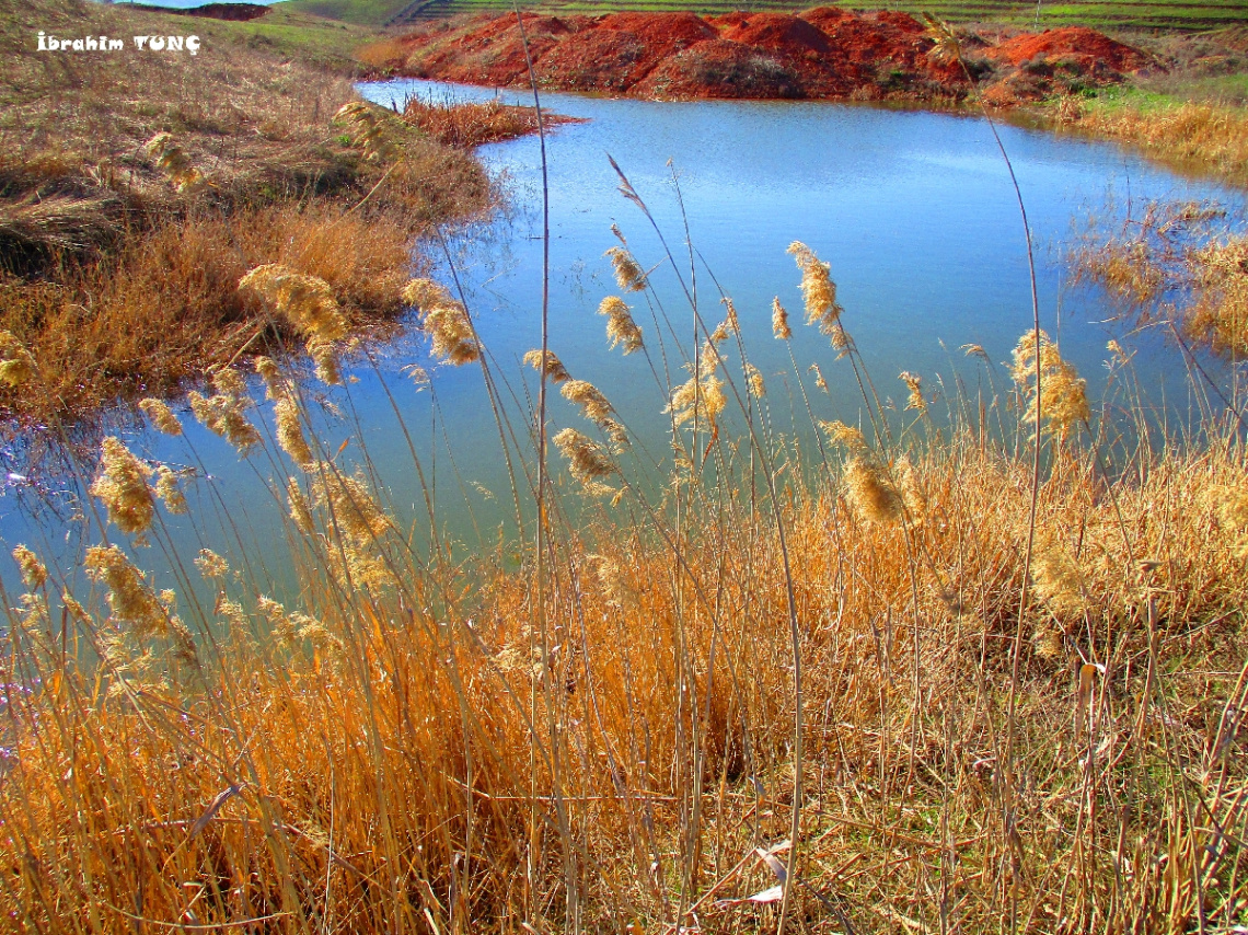 Doğal Göl