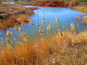 Doğal Göl