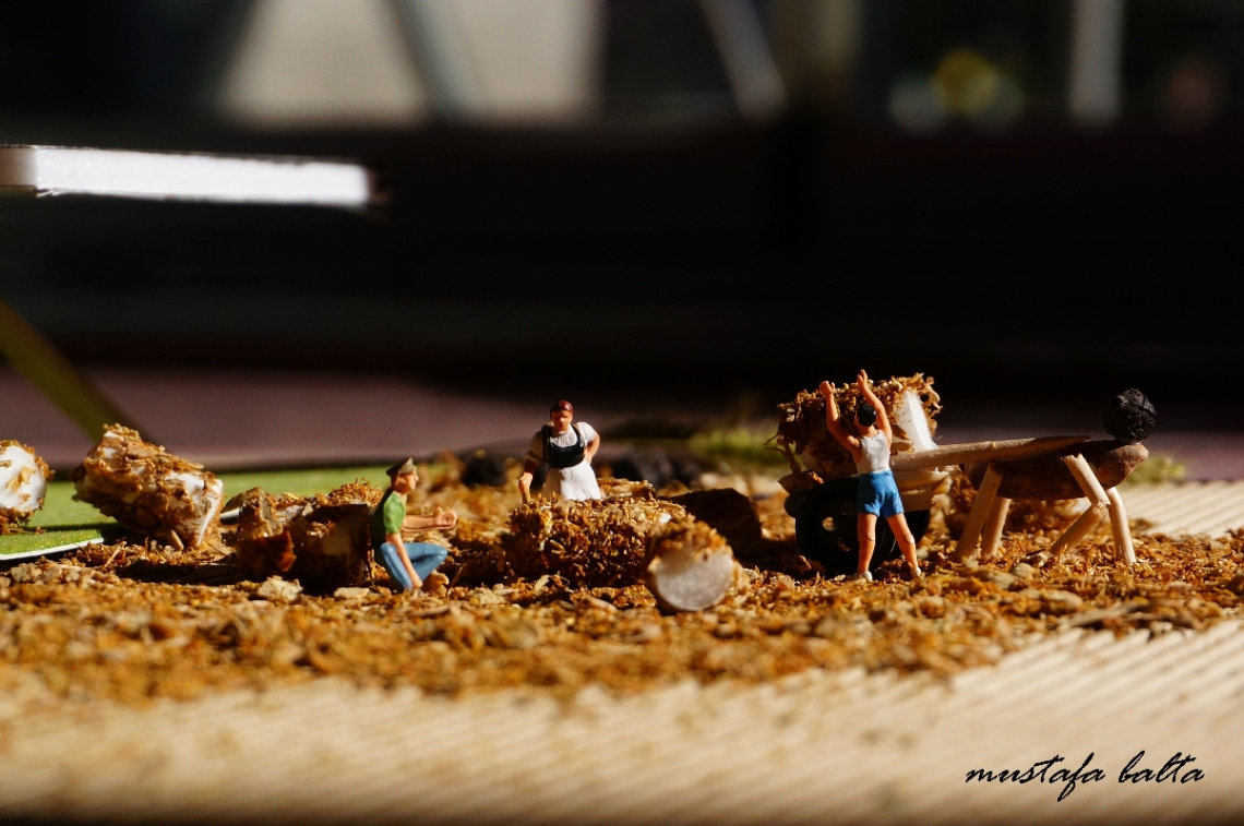 Miniciks Hayatlar  TARLA  