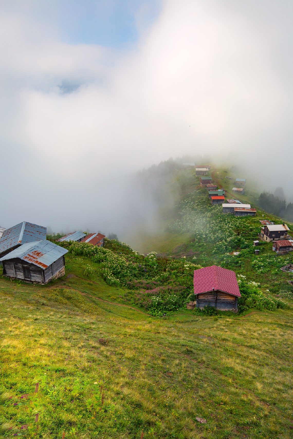 Pokut Yaylası/ÇAMLIHEMŞİN