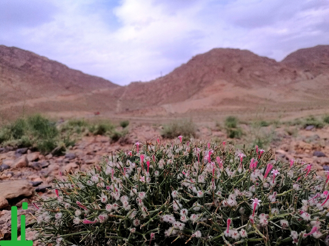 Our valley awakened!