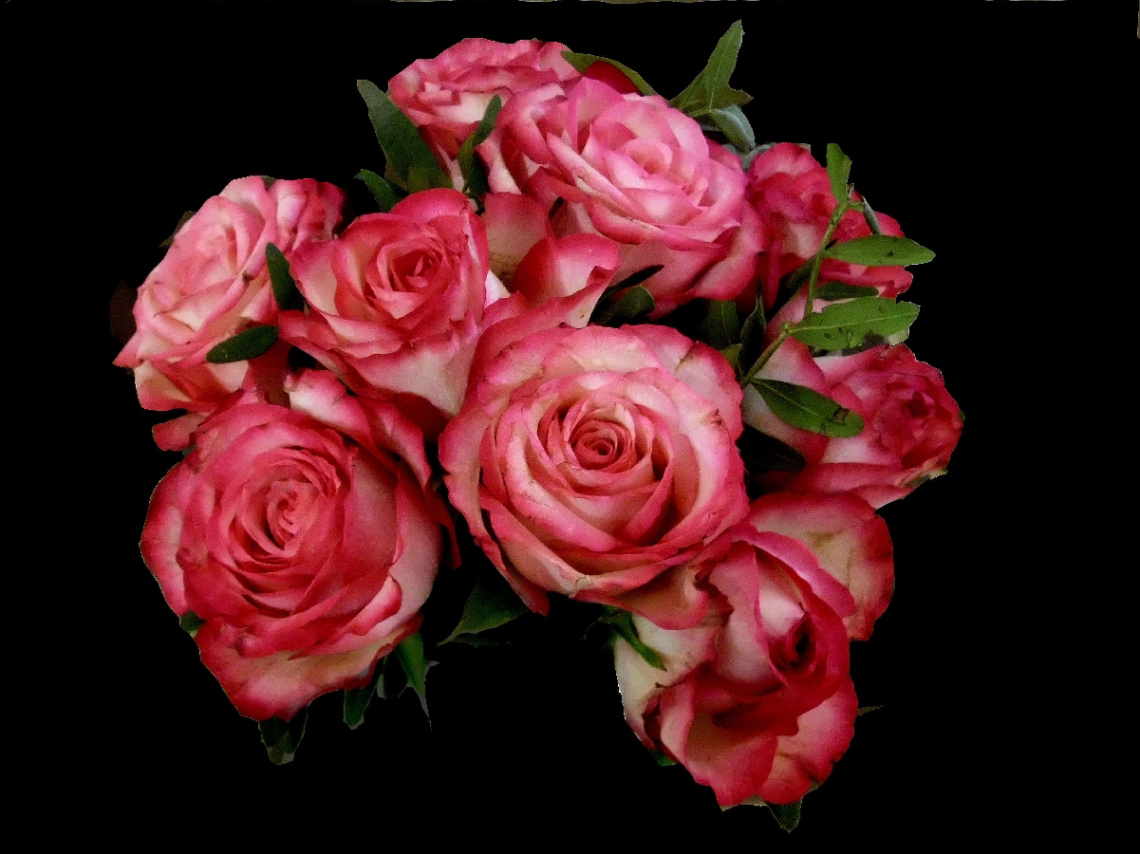 ROSEN