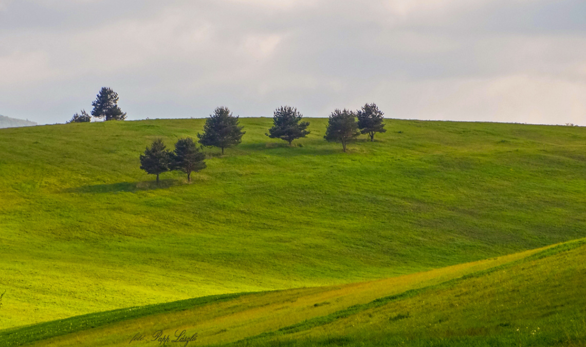 hill-side .