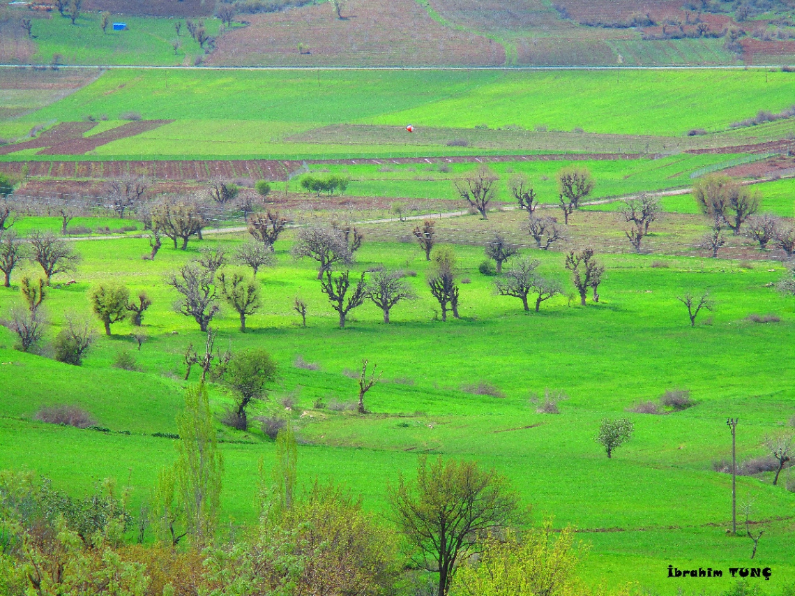 Yeşil Doğa