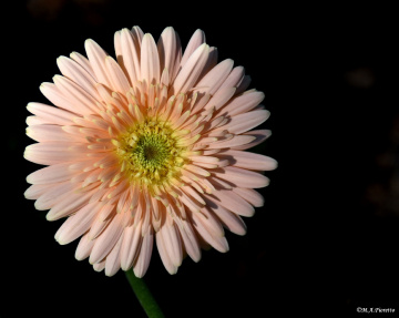 For you
