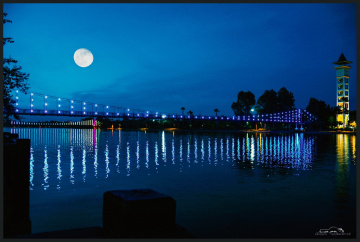 Blue Night