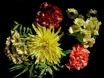 BLUMEN
