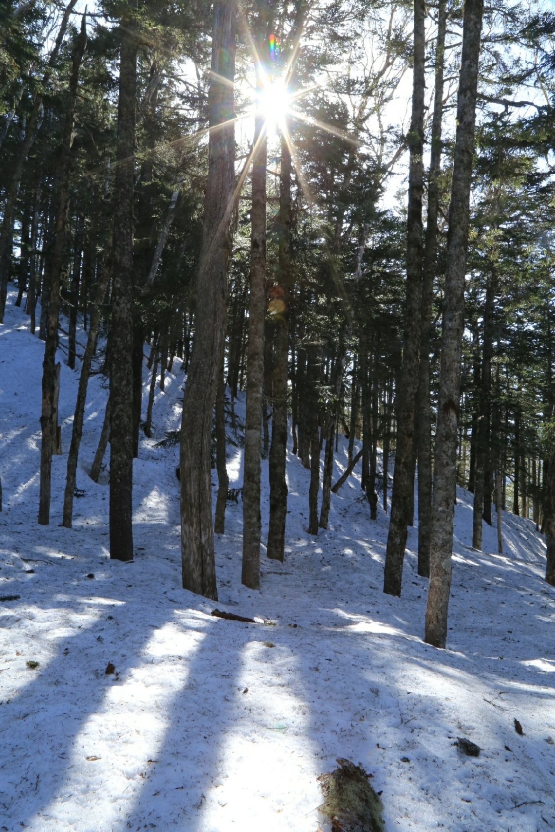 Sun shining …