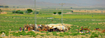 Baloch Nomads ,Chiltan valley