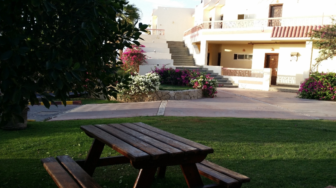 Egypt - Sharm Alsheikh